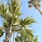 노밀가루 다이어트 최대 위기: 여행 중에도 현실적으로 유지하는 법-img