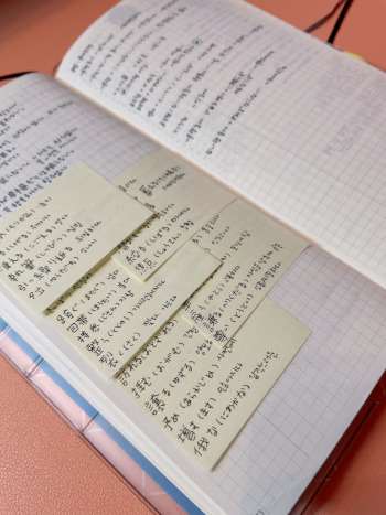 analogue journal - study