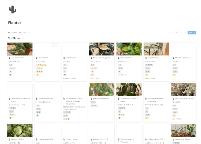 notion for plant tracker