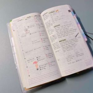 Hobonichi Weeks Layout Ideas: 7 Best Setup for Your Needs-img