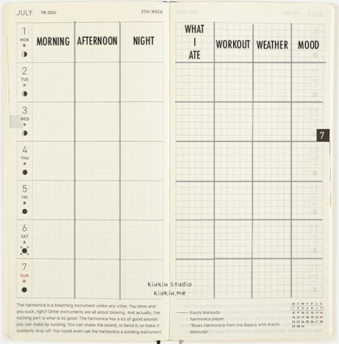 Weekly planner spread. The left page divides each day into three sections: morning, afternoon, and night. The right page tracks "What I Ate," "Workout," "Weather," and "Mood" across the week.