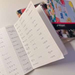 JLPT Vocabulary Study: How I Built My Vocab from N5 to N1-img