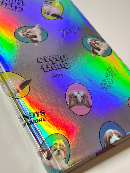Hobonichi Weeks 2026 Candy Stripper holographic cover close-up