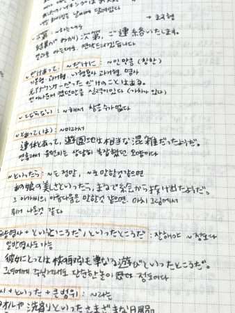 JLPT grammar study notes in Hobonichi Weeks, with confusing grammar points and example sentences neatly written