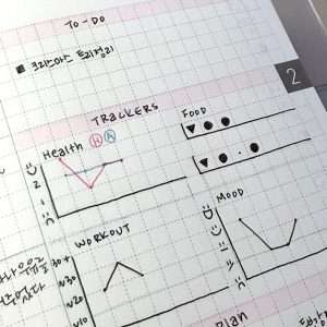 Best 3 Hobonichi Weeks Layout Ideas for Busy Weeks-img