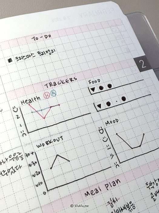 how i use my favorite pens on hobonichi